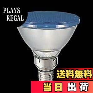 �y���������z�y���Łz �J���[�r�[�������v(��)100W�` E26���� �U���` BRF110V80WY