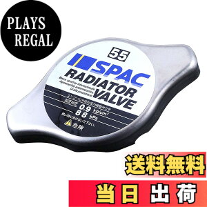 �y���������zPIAA(�s�A) �ԗp �����v&�o���u ���W�G�^�[�o���u 88kPa ���M�����[�^�C�v �V���o�[ SV55