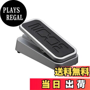 �y���������zZOOM �Y�[�� �G�N�X�v���b�V�����y�_�� FP02M ���^���{�f�B ���ϋv �{�����[�� ���E �s�b�`�V�t�g�Ή� �M�^�[ �x�[�X �G�t�F�N�^�[����p �X���[�Y�ϐ��\ �����ɍœK�y������