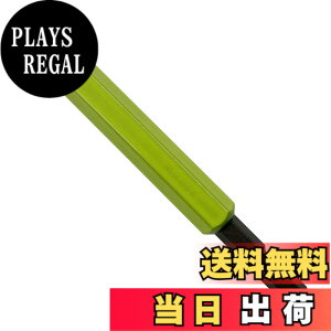 �y���������z�A�l�b�N�X(ANEX) �J���[�r�b�g �{�[���|�C���g �Г� �Ε�10mmx100 ACBP-1010