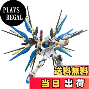 �y���������zRG �@����m�K���_��SEED DESTINY ZGMF-X20A �X�g���C�N�t���[�_���K���_�� 1/144�X�P�[�� �F�����ς݃v�����f��