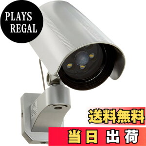 �y���������zDAISHIN(��i) outdoor �J�����Ɍ�����Z���T�[���C�g DLB-K500 LED���F