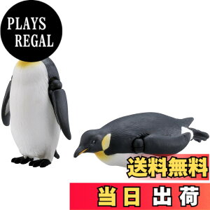 ���i�摜