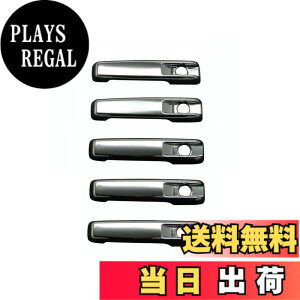 �y���������zBRIGHTZ G�N���X W463 G320S G320L G500S G500L ���b�L�h�A�n���h���J�o�[ �m�u 5PC �y DHC�|NOBU�|134�|5PC �z �J�[�{���G�f�B�V���� G55L G63 AMG �Q�����f 13746