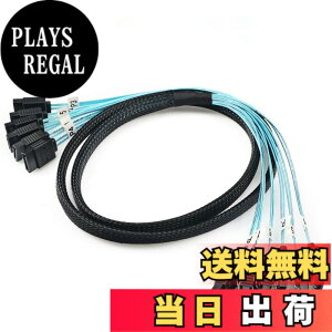 �y���������zCableDeconn����6��/�Z�b�gSata 3 SATA�P�[�u��SAS�P�[�u��6Gbps�T�[�o�[1M�p