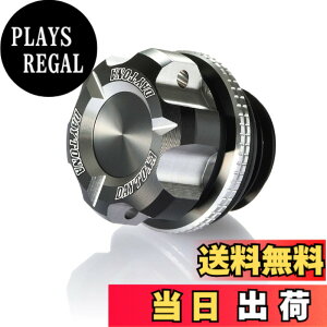 �y���������z�f�C�g�i(Daytona) PREMIUM ZONE(�v���~�A���]�[��) �o�C�N�p �I�C���t�B���[�L���b�v M20XP2.5�A�b�V���V���o�[ 91894