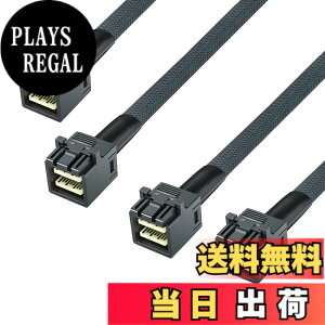 �y���������z10Gtek ���� Mini SAS HD SFF-8643 �P�[�u��, �T�C�h�o���h�t��, 0.5���[�g��, �܂肽���ݎ�, �t���L�V�u��, 2�{��