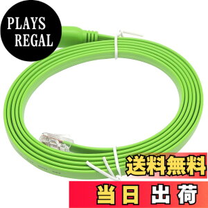 �y���������zKAUMO CONSOLE(RJ45) USB�ϊ� �R���\�[���P�[�u�� (�O���[�� 2.0m FTDI�`�b�v)