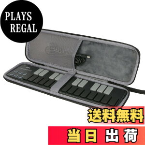 �y���������z�yco2CREA ��p���[�P�[�X�zKORG ��� USB MIDI�L�[�{�[�h nanoKEY2 25�� MIDI�R���g���[���[ nanoPAD2 16�p�b�h �ɑΉ��i�P�[�X�̂݁j