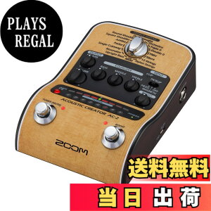�y���������zZOOM �Y�[�� AC-2 �A�R�[�X�e�B�b�N�M�^�[�p�v���A���v �y�������K�i/3�N�����t�z �s�G�]/�}�O�l�Ή� 16��v���Z�b�g DI�@�\ XLR�o�� �d�r�쓮�Ή� �x�[�W�� AC�A�_�v�^�[�t�� AC�V��