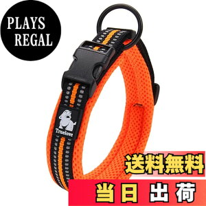 �y���������zcocomall���{�����X ����� ���̎�� ���p�P����� ���^�A���^�A��^���p��� �y�b�g�p�i 3M���ˍޗ� �i�C������ �ʋC�� �e�͐� �\�t�g ���߉\ (L, �I�����W)