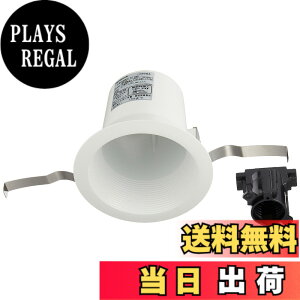 �y���������z�p�i�\�j�b�N(Panasonic) �_�E�����C�g LED ��100 �{�� �� �d���F NNN61512WK