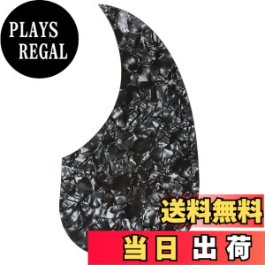 �y���������zMusiclily D28�X�^�C���� �A�R�[�X�e�B�b�N�M�^�[�p�s�b�N�K�[�h�A�u���b�N�p�[��