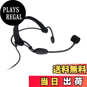 �y���������zPanasonic WX-4300B�AWX-1800�AWX-ST400�AUNI-PEX WM-8100A�AWM-8130A�AWM-3100�ėp�i (�w�b�h�Z�b�g�^)�y�Ɩ��p�z�y���ӁF�h�H�ł͂���܂���zHM-606P