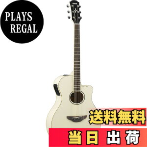 �y���������z���}�n YAMAHA �G���A�R�M�^�[ APX600 VW