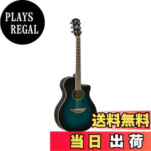 �y���������z���}�n YAMAHA �G���A�R�M�^�[ APX600 OBB �I���G���^���u���[�o�[�X�g(OBB)