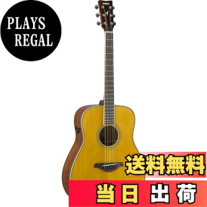 �y���������z���}�n YAMAHA �g�����X�A�R�[�X�e�B�b�N�M�^�[ FG-TA VT