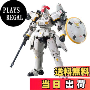 �y���������zRG �V�@����L�K���_��W Endless Waltz �g�[���M�X EW 1/144�X�P�[�� �F�����ς݃v�����f��