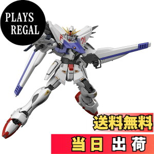�y���������zMG �@����m�K���_��F91 �K���_��F91Ver.2.0 1/100�X�P�[�� �F�����ς݃v�����f��