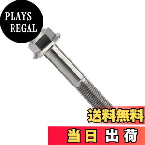 �y���������zDingtai �`�^���t�����W�{���gM10 x20 25 30 35 40 45 55 60 65 70 75 80 100mm 1.25mm �t�����W�˂� (M10x65mm) [���s�A���i]