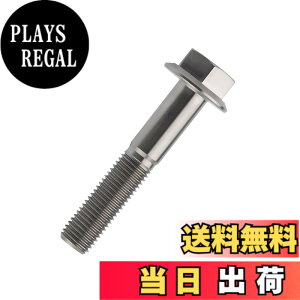�y���������zDingtai �`�^���t�����W�{���gM10 x20 25 30 35 40 45 55 60 65 70 75 80 100mm 1.25mm �t�����W�˂� (M10x55mm) [���s�A���i]