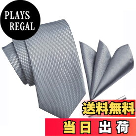 【送料無料】[HISDERN] ビジネス用 ネクタイ シルバー チーフ セットメンズ フォーマル ハンカチ おしゃれ ネクタイ 3点セット クリップ 高級 結婚 礼服 メンズ セットA3-01