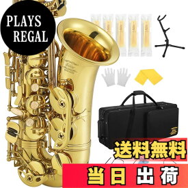 【送料無料】Eastar アルトサックス E Saxophone ゴールドラッカー サクソフォン ケース付き お手入れセット クリスマス(演奏用) AS-3