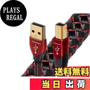 �y���������zaudioquest �I�[�f�B�I�N�G�X�g USB�P�[�u�� �V�i�����iUSB2.0�EA-B�j�sUSB2/CIN/1.5�tUSB2 CINNAMON/1.5m