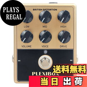 �y���������zGOKKO AUDIO �A���v �V�~�����[�^�[ �y�_�� �G�t�F�N�^�[ �u���e�B�b�V�����b�N�T�E���h PLEXIBOX GK-36