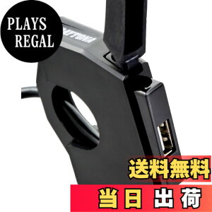 �y���������z�f�C�g�i(Daytona) �o�C�N�p USB�d�� USB-A 12W iPhone/Android�Ή� �u���[�L�X�C�b�`�ڑ� ���C���L�[�A�� ��t��13.5mm �X�����_�[USB 1�|�[�g 98437