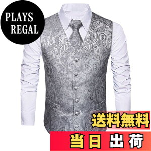 �y���������z[HISDERN] �V���o�[ ������ �����Y �t�H�[�}���x�X�g �r�W�l�X �X�[�c �x�X�g �X���� V�l�b�N �傫���T�C�Y �j�� �畞 L V3-01