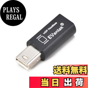 �y���������zEVanlak Mini DisplayPort �w�b�h���X�S�[�X�g�f�B�X�v���C�G�~�����[�^�[ PC 4K DP �_�~�[�v���O�p (�w�b�h���X1080-3840x2160@17hz�Ή�)