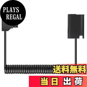 �y���������zRaeisusp D-Tap-DCC12 DMW-BLF19 D-Tap-DCC17 DMW-BLK22 �_�~�[�d�r �d���P�[�u�� LUMIX DMC-GH3 GH4 GH5 GH5II GH5S GH6L DC-S5K S5GK G9