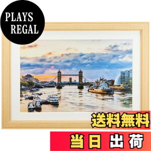 �y���������z�P���R�[(Kenko) �z�� �R�X���X W6�� �ؐ� �O�ʃK���X�g�p �i�`������ MCM-W6-NA