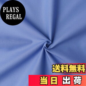 �y���������z���{�R�t�f��(Nippon Chuko) NBK �G�C�e�B�X�N�G�A ���n ���n ��100% �V���[�e�B���O �p���W�[ �u���[�n �Ж�110cmx8m�ؔ��J�b�g KD4630-301-8M