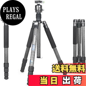 �y���������zINNOREL RT85C �J�[�{�� �O�r �{�[���_�� �L�b�g 184CM �g���x���O�r �v���� �i�b�g���b�N�� �G���x�[�^�[�� �ω׏d 25KG �l�i�r ��r�ώ� �p�C�v�a32mm ���y�� �^���� �o�R ��O �쒹 