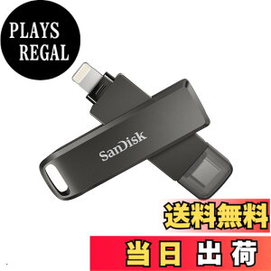 �y���������zSanDisk TYPE-C SDIX70N-256G-GN6NE Lightnig Flash