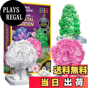 �y���������zNATIONAL GEOGRAPHIC �N���X�^���͔|�K�[�f�� �| �N���X�^���͔|�L�b�g��3�̃N���X�^���c���[���킸��6���Ԃň�Ă邱�Ƃ��ł��܂��BSTEM�L�b�g�ɂ́A�W�I�[�h�A�w�K�K�C�h�Ȃǂ�