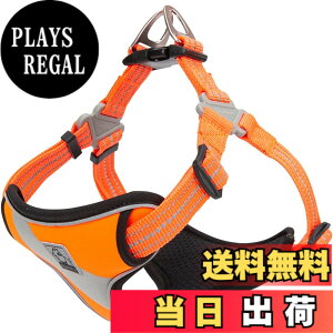 �y���������zcocomall ���S�y�����p�n�[�l�X ���p���� �h�b�O �y�b�g�p�i ���o�����n�[�l�X 3M���ˍޗ� �P�� �i�C������ ���^���A���^���A��^���Ɍ��� �ʋC�� ���߉\ ������� (L, �I�����W)