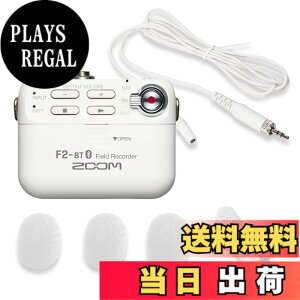 �y���������zZOOM �Y�[�� �����^ �t�B�[���h���R�[�_�[ F2-BT/W 32bit�t���[�g�^���Ή� Bluetooth �����[�g����@�\ ���x���A�}�C�N�t�� �ߕ���@�ނɑ����\ 14���ԋ쓮 �u���C�_�� �C���^�r���[ 