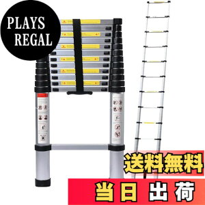 �y���������zDayPlus �L�k�͂��� �Œ�5 m (16.5 ft) �܂��ݐL�k��q ���@�\�A���~�͂��� �����^�тɕ֗� �y�� �ω׏d150 kg �������O���p �������b�N ���S���b�N �X���C�h�� �A���~��q �z�[����
