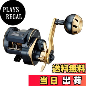 �y���������z�_�C��(DAIWA) 21 �\���e�B�KIC 100L