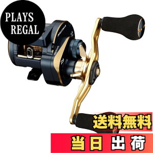 �y���������z�_�C��(DAIWA) 21 �\���e�B�KIC 100PL-DH