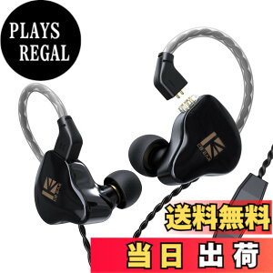 �y���������zYinyoo ���؃C���z�� �d�ቹ 1DD�C���z�� �L���C���z�� �J�i���^ 2pin�C���z�� �Չ��� �t�B�b�g�� �C���t�H�� �l�ԍH�w �y�� ������➑� ���R��h�~ KBEAR KS1 (�u���b�N�E�}�C�N�t��)