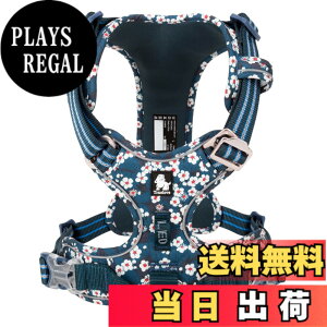 �y���������zcocomall 2020�V�^ ���p�n�[�l�X ���p���� �h�b�O �y�b�g�p�i �n�[�l�X 3M���ˍޗ� �P�� �i�C������ ���^���A���^���A��^���Ɍ��� �ʋC�� ���߉\ (XL, Saxony Blue)