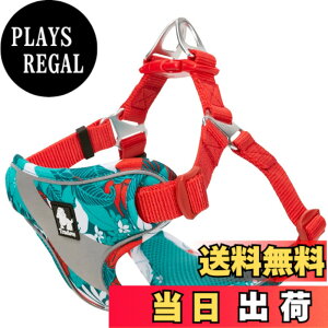 �y���������zcocomall ���S�y�����p�n�[�l�X ���p���� �h�b�O �y�b�g�p�i ���o�����n�[�l�X 3M���ˍޗ� �P�� �i�C������ ���^���A���^���A��^���Ɍ��� �ʋC�� ���߉\ ������� (L, blue&red)