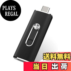 �y���������zUSB������256GB USB 3.1 2in1 Type-C ������ �t���b�V���h���C�u(�u���b�N)