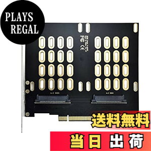 �y���������zNFHK �f���A�� 2X U.2 SFF-8639 SSD - PCIE Express 3.0 Gen3 X8 X16 RAID �J�[�h VROC Raid0 �n�C�p�[�A�_�v�^�[