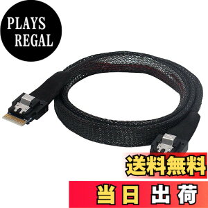 �y���������zCablecc PCI-E �X�������C�� SAS 4.0 SFF-8654 4i 38�s�� �z�X�g - SFF-8654 �X���� SAS �^�[�Q�b�g�P�[�u�� 50cm
