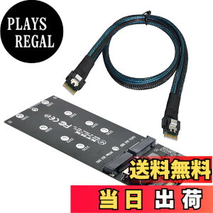 �y���������zNFHK SFF-8654 SLIMLINE SAS NVME PCIe SSD SATA�A�_�v�^�ւ�U2�L�b�gNGFF M�L�[�ւ̃P�[�u��